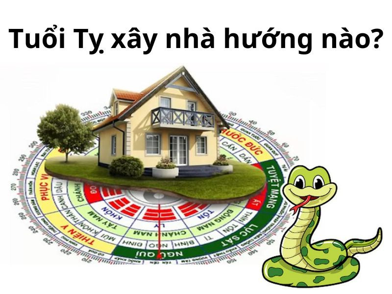 Phong thủy hướng nhà tuổi Tỵ