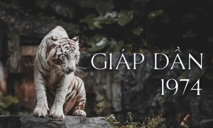 Phụ nữ tuổi Giáp Dần 1974 suy ngẫm về vận trình tử vi năm 2024