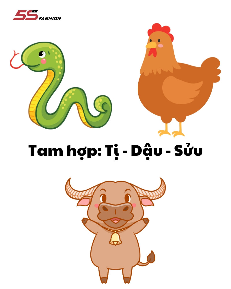 Quý Tỵ 2013 hợp với những tuổi nào