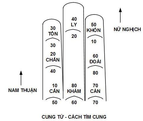 Sơ đồ bàn tay hướng dẫn chi tiết cách tính 8 cung tử vi để xem vận mệnh con cháu