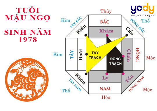 Sơ đồ hướng nhà phù hợp phong thủy cho tử vi Mậu Ngọ 1978