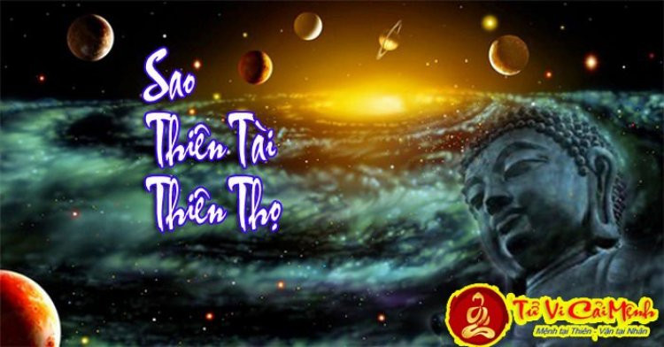 Sơ đồ lá số tử vi minh họa vị trí sao Thiên Tài và Thiên Thọ