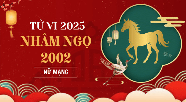 Sơ đồ lá số tử vi Nhâm Ngọ nữ mạng 2025