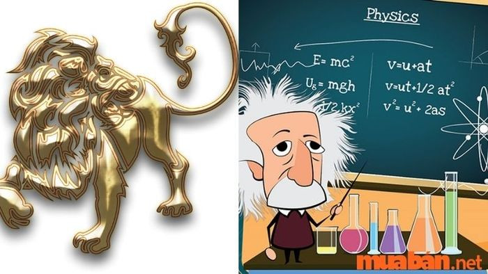 Sư Tử luôn cảm thấy khó khăn khi đối mặt với môn Vật lý - 12 cung hoàng đạo sợ môn gì nhất