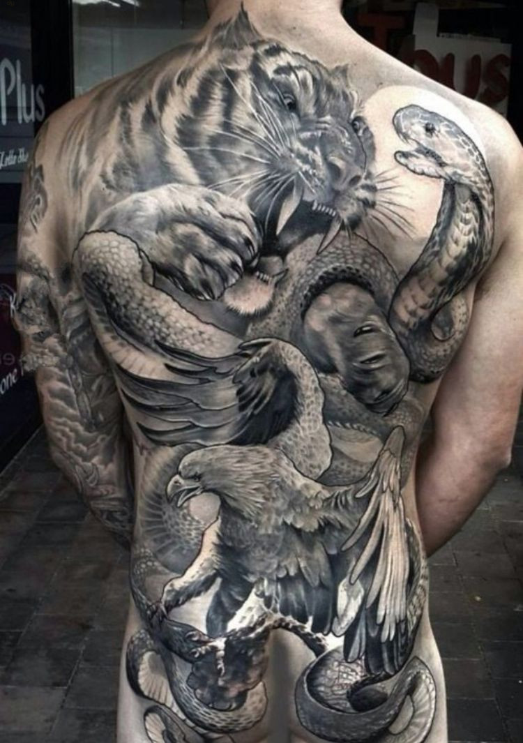Tattoo hổ, đại bàng và rắn đại chiến