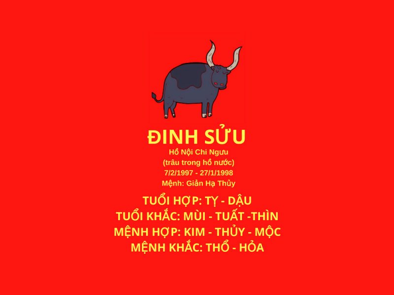 Thông tin cung mệnh, ngũ hành người tuổi Đinh Sửu 1997
