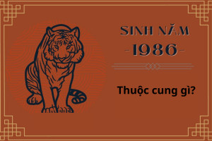Tìm hiểu cung mệnh của nữ Bính Dần 1986 theo Bát Quái