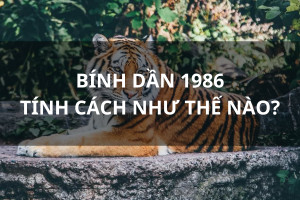 Tính cách đặc trưng mạnh mẽ của nữ tuổi Bính Dần 1986