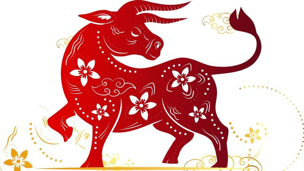 Tính cách nữ sinh năm 2009 Kỷ Sửu