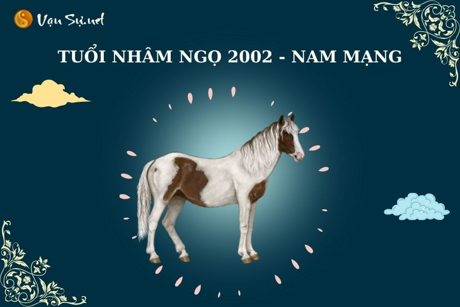 Tổng hợp diễn biến tử vi nam mạng 2002 qua từng giai đoạn
