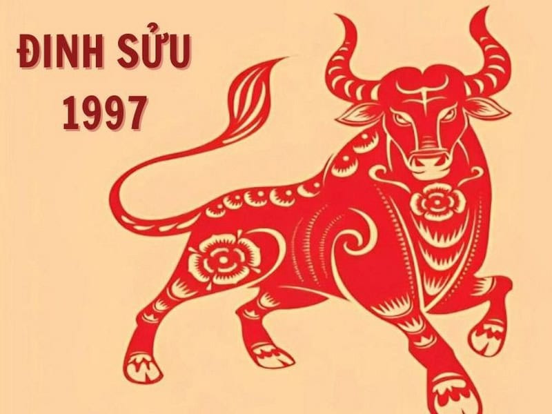 Tổng quan tử vi Đinh Sửu 2026 nam mạng gặp nhiều thách thức