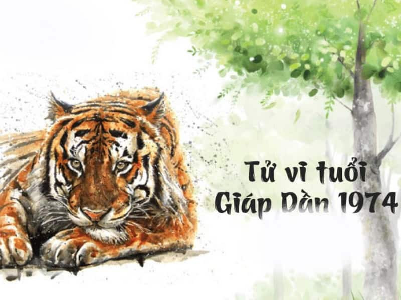 Tổng quan tử vi Giáp Dần nữ mạng 2026
