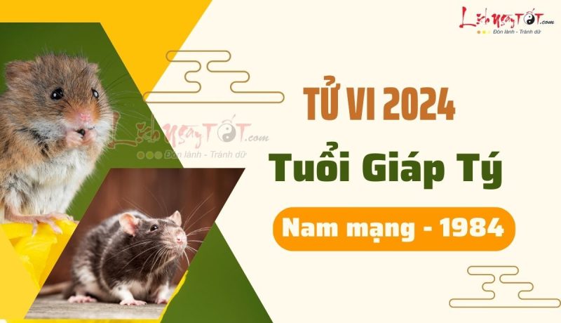 Tổng quan tử vi Giáp Tý 1984 nam mạng năm 2024
