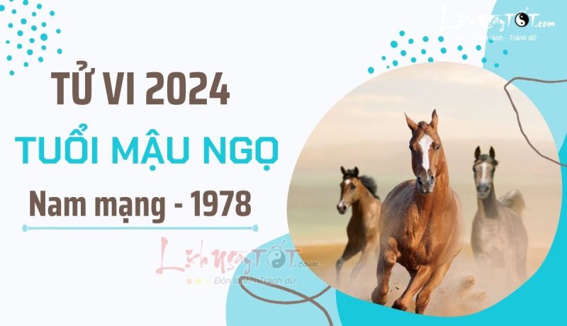 Tổng quan tử vi Mậu Ngọ nam mạng 1978 trong năm 2024