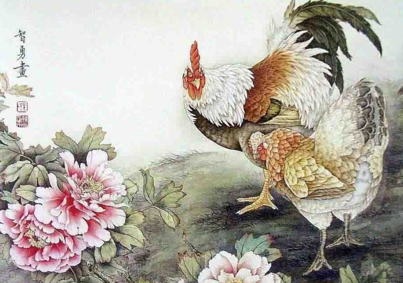 Tổng quan tử vi nam mạng Ất Dậu 2005 năm Giáp Thìn, thể hiện sự ổn định và nỗ lực