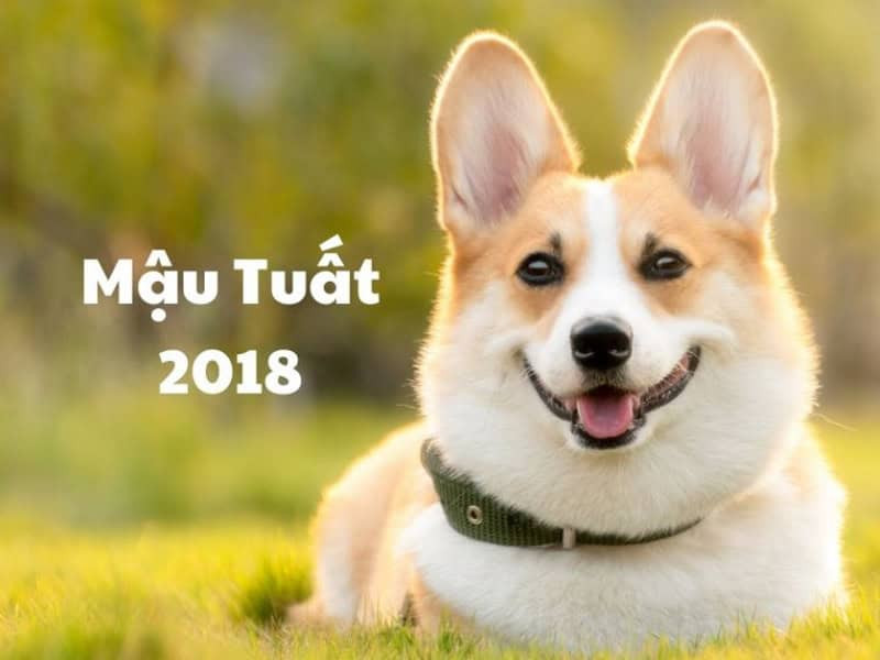 Tổng quan tử vi nam mạng Mậu Tuất 1958