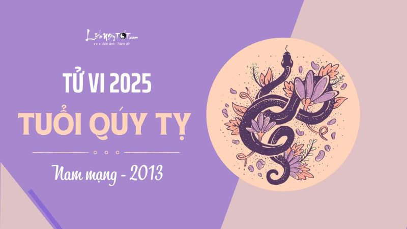 Tổng quan tử vi nam Quý Tỵ 2013 năm 2025