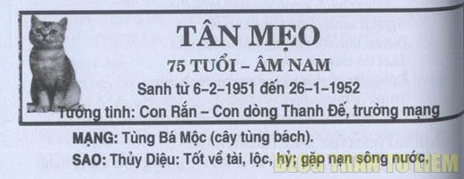 tổng quan tử vi nam tân mão 1951 năm 2025