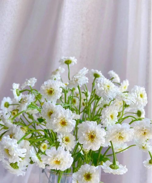 Tổng quan tử vi ngày 14/4/2025 cho 12 cung hoàng đạo