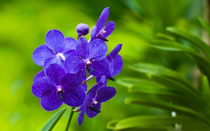 Tổng quan tử vi ngày 29 4 cho mọi cung