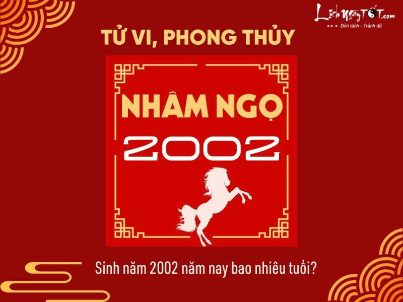 Tổng quan tử vi người sinh năm 2002 Nhâm Ngọ, bao nhiêu tuổi theo âm dương lịch