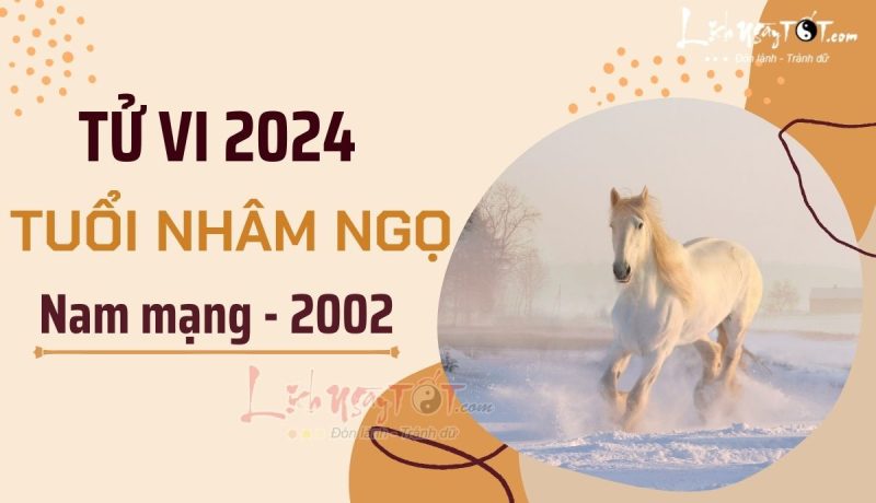 Tổng quan tử vi Nhâm Ngọ 2024 nam mạng chi tiết