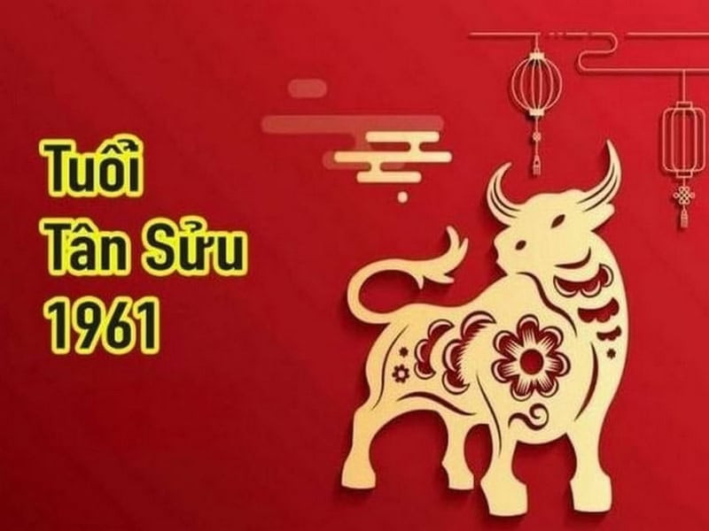 Tổng quan tử vi Tân Sửu nữ mạng 2025, vận mệnh người tuổi Sửu