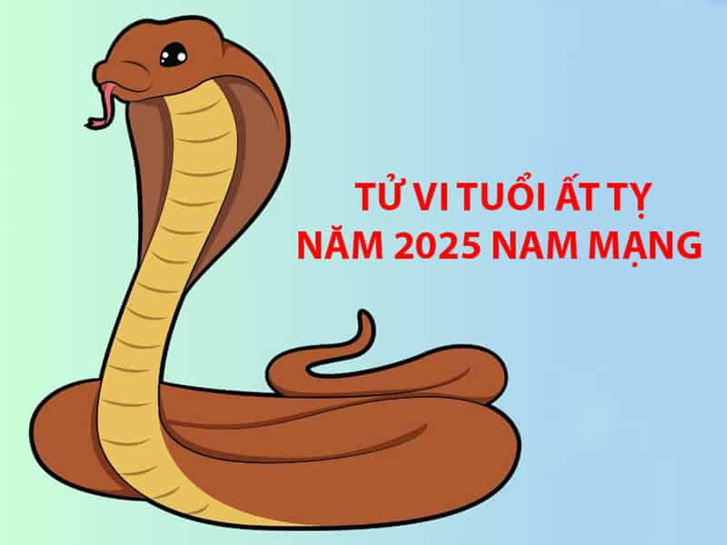 Tổng quan tử vi trọn đời tuổi Ất Tỵ 2025 nam mạng với nhiều thử thách