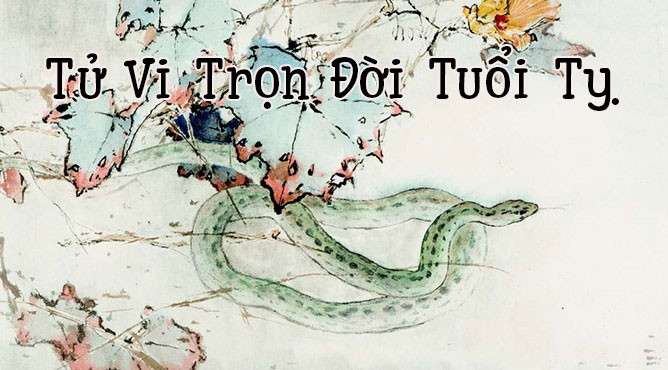 Tổng quan tử vi trọn đời tuổi Kỷ Tỵ qua các giai đoạn