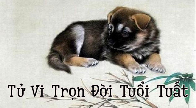 Tổng quan tử vi trọn đời tuổi Nhâm Tuất chi tiết