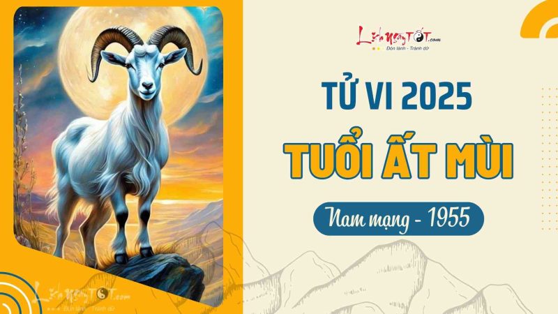 Tổng quan tử vi tuổi Ất Mùi 1955 nam mạng năm 2025