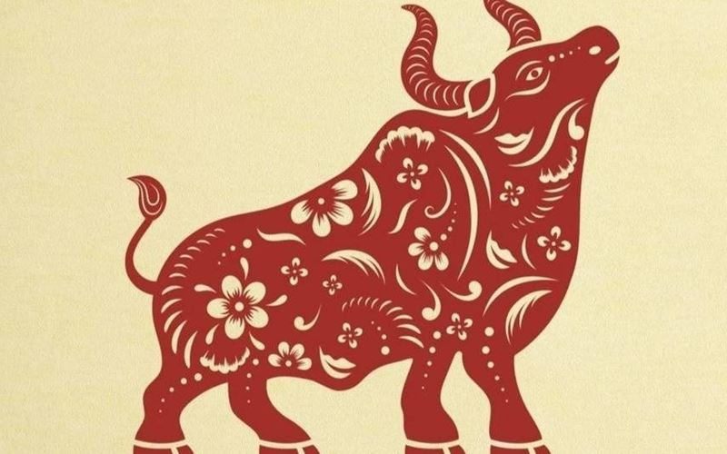 Tổng quan tử vi tuổi Ất Sửu 2025 nam mạng
