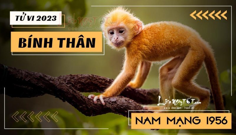 Tổng quan tử vi tuổi Bính Thân 1956 nam mạng năm 2023 chi tiết