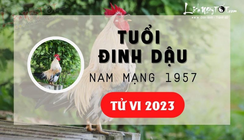 Tổng quan tử vi tuổi Đinh Dậu 1957 nam mạng năm 2023