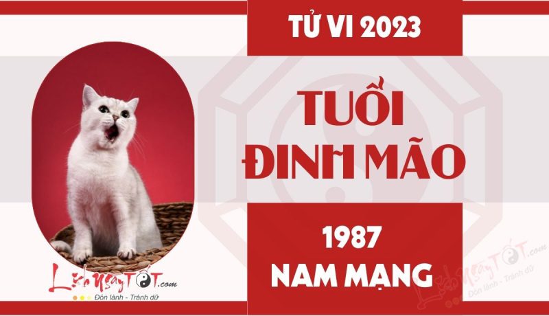 Tổng quan tử vi tuổi Đinh Mão 1987 nam mạng năm Quý Mão 2023
