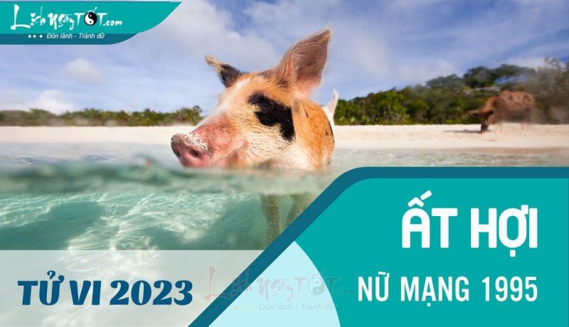 Tổng quan tử vi tuổi Hợi 1995 năm 2023 nữ mạng theo ngũ hành