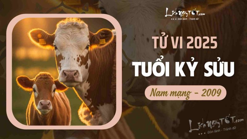 Tổng quan tử vi tuổi Kỷ Sửu 2009 nam mạng năm 2025 chi tiết