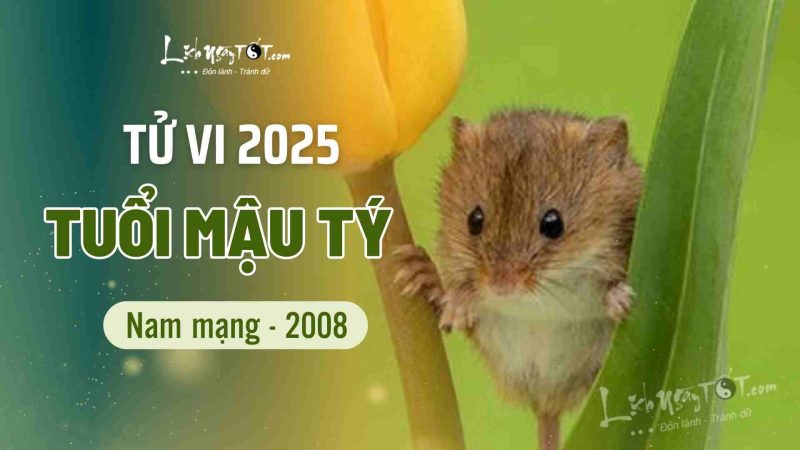 Tổng quan tử vi tuổi Mậu Tý 2008 nam mạng năm 2025