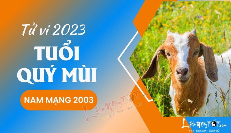 Tổng quan tử vi tuổi Quý Mùi 2003 nam mạng 2023