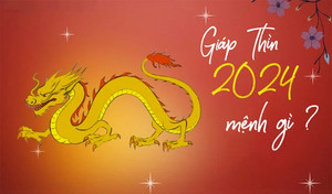 Tổng quan tử vi và vận mệnh tuổi Kỷ Mão năm 2024