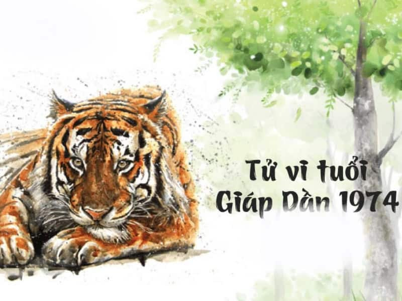 Tổng quan vận mệnh nam Giáp Dần 2025 với nhiều biến động