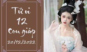 Tổng quan vận mệnh ngày 21/12