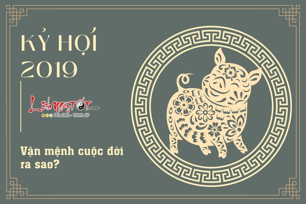 Tổng quan vận mệnh nữ Kỷ Hợi 2019