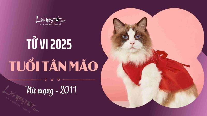 Tổng quan vận mệnh nữ mạng Tân Mão sinh năm 2011 trong năm 2025