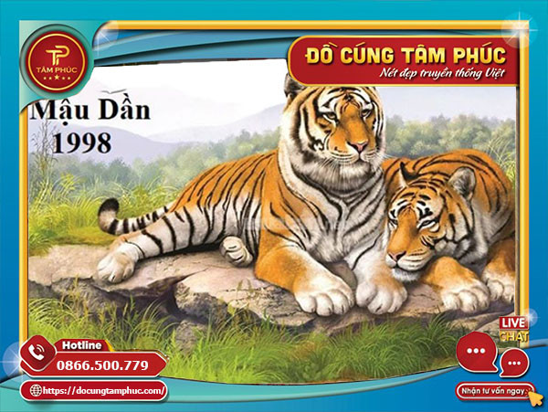 Tổng quan về tuổi Mậu Dần 1998