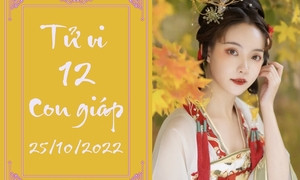 Tổng quan về vận trình 12 con giáp trong ngày 28/10, mang đến cái nhìn sâu sắc về tử vi ngày 28 10 của 12 con giáp.