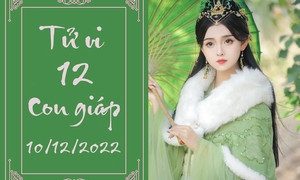 Tử vi 12 con giáp 14 12 vận trình ngày mới