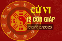 Tử vi 12 con giáp ngày 14 tháng 3 năm 2025: Tuổi Thân đón tài lộc