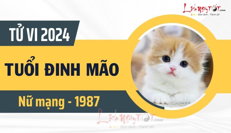Tử vi 1987 nữ mạng 2024 chi tiết về vận trình tuổi Đinh Mão