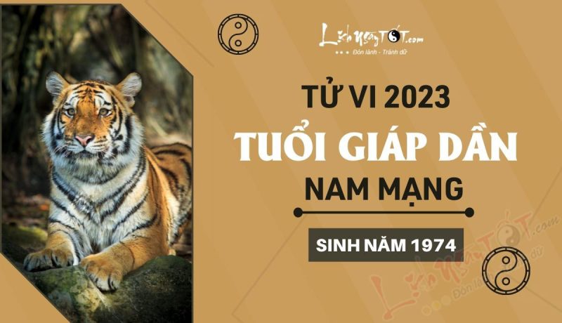 Tử vi 2023 tuổi Giáp Dần nam mạng